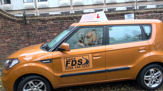 Fake Driving School latin kisasszony szarul vezet, de szexelni azt nagyon tud