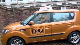 Fake Driving School cuki japán bige kúrni akar