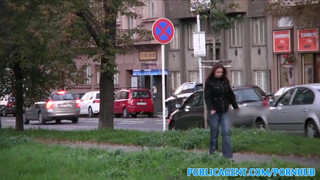 PublicAgent - Óriás didkós cseh spiné