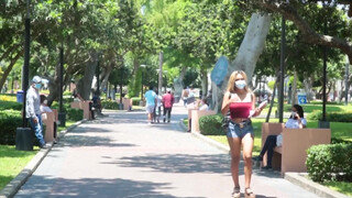 Fullos hatalmas cickós venezuelai spiné